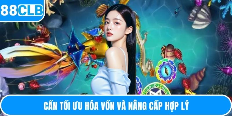 Cần tối ưu hóa vốn và nâng cấp hợp lý